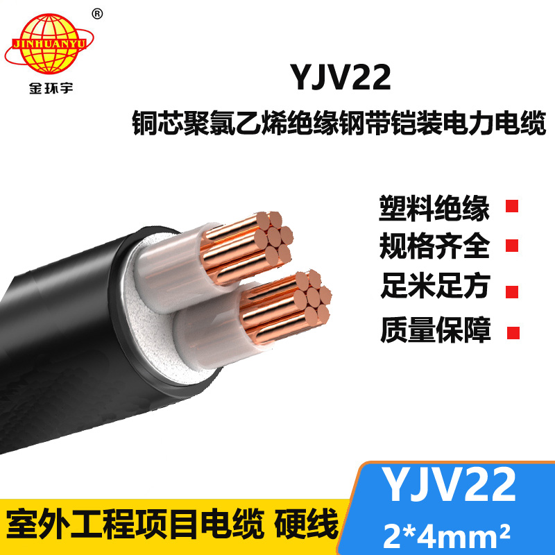 金环宇电线电缆 铜芯 铠装电力电缆YJV22 2X4平方 工程电缆