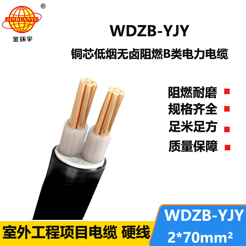 金环宇电线电缆 低烟无卤阻燃电缆WDZB-YJY 2X70平方铜芯电力电缆